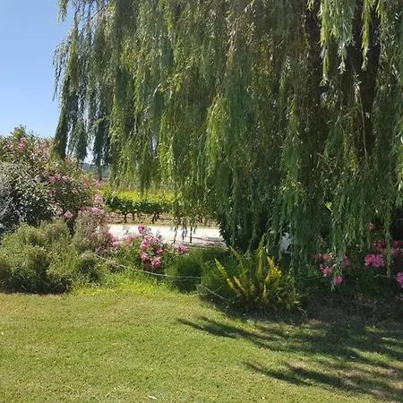 Superb With Private Pool בית נופש וזון-לה-רומיין